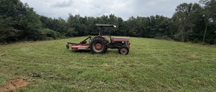 Tractor in a grassy clearing Tractor in a grassy clearing